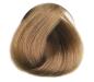 Preview: Selective COLOREVO Farbe 7.31 mittelblond biscuit