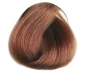 Mobile Preview: Selective Professional COLOREVO Farbe 7.45 mittelblond zimt